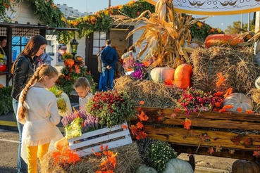 Фермеры Ленобласти – на фестивале «Натуральное путешествие» в Петербурге